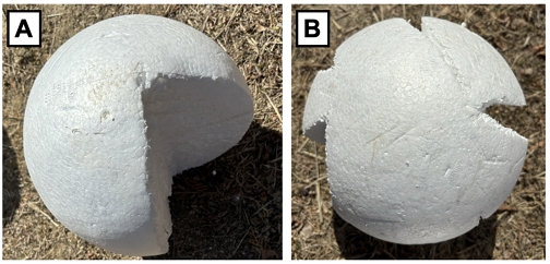 Fig. 5.