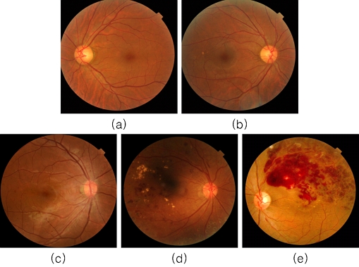 Fig. 3.