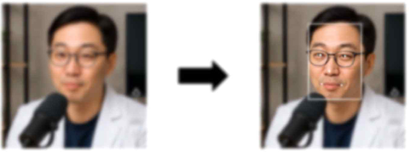 Fig. 2. Fig. 2.