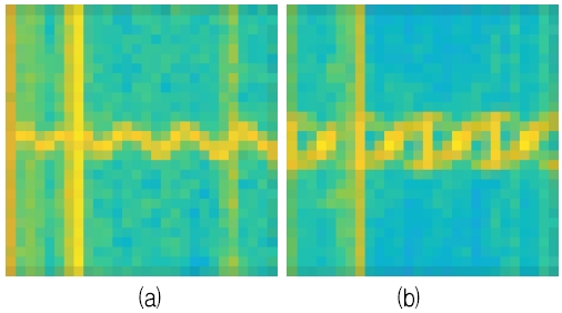 Fig. 12.