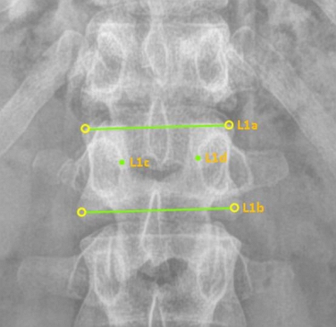 Fig. 3.