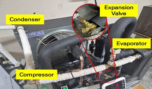 Fig. 1.