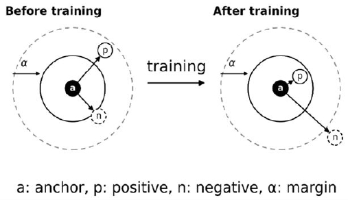 Fig. 3. Fig. 3.