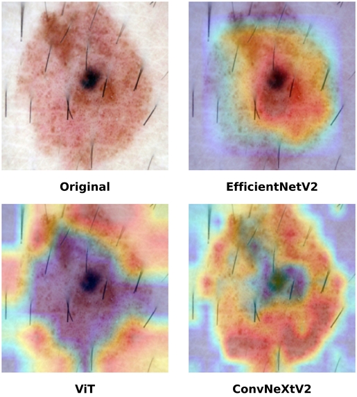 Fig. 2. Fig. 2.